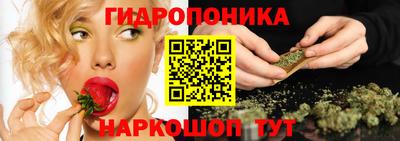 гашик Малгобек