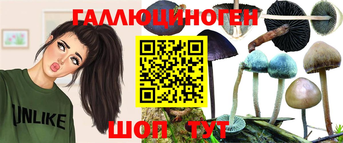 Псилоцибиновые грибы прущие грибы  Галлюциногенные грибы GOLDEN TEACHER  Великий Устюг  Вход с VPN 