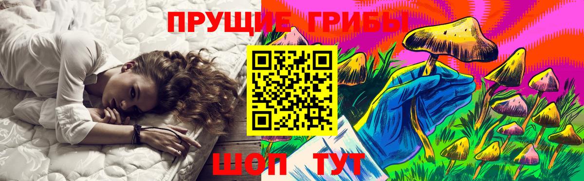 Галлюциногенные грибы GOLDEN TEACHER Великий Устюг